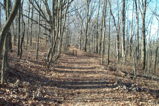 On Trail 2 at Pokagon State Park